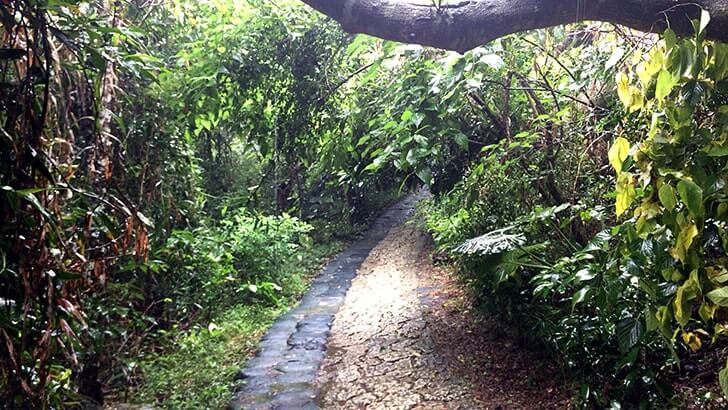 神聖な場へ…沖縄の聖地『斎場御嶽』世界遺産を訪れる【沖縄旅行】