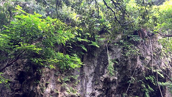 神聖な場へ…沖縄の聖地『斎場御嶽』世界遺産を訪れる【沖縄旅行】