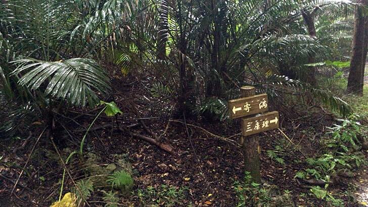 神聖な場へ…沖縄の聖地『斎場御嶽』世界遺産を訪れる【沖縄旅行】