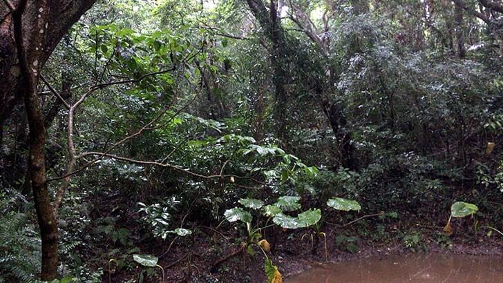 神聖な場へ…沖縄の聖地『斎場御嶽』世界遺産を訪れる【沖縄旅行】