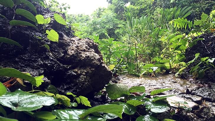 神聖な場へ…沖縄の聖地『斎場御嶽』世界遺産を訪れる【沖縄旅行】