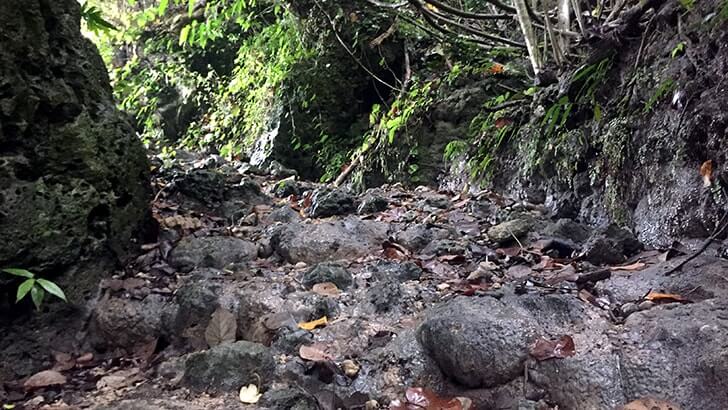 垣花樋川の雰囲気が素敵！全国名水百選の湧水【沖縄旅行】