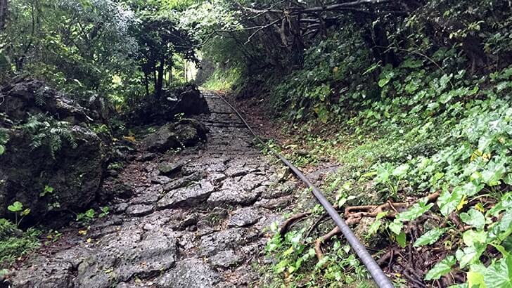 垣花樋川の雰囲気が素敵！全国名水百選の湧水【沖縄旅行】