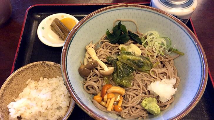 塩尻駅で蕎麦を食い白山温泉に浸かり河口湖近くのロッジに宿泊