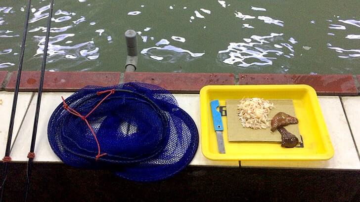 夜遊びにエビ釣り！台湾の春城釣蝦場で海老を釣って食らう！