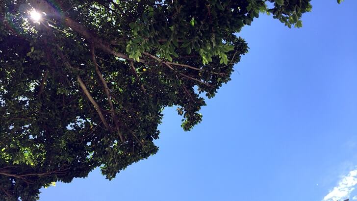 f:id:islog:20160722184153j:plain