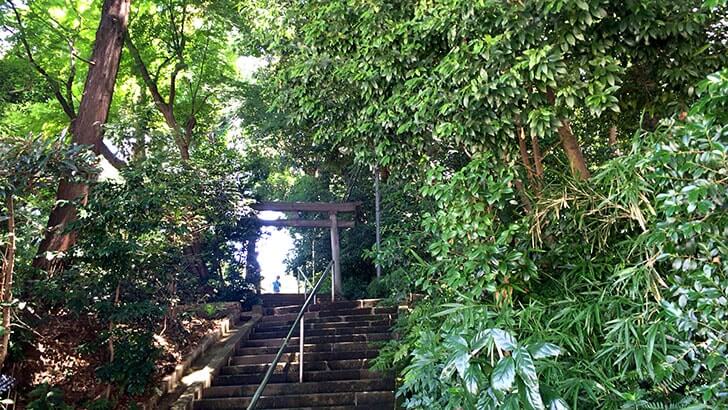 代々木八幡宮で過ごした1日　出世稲荷や緑に包まれた境内