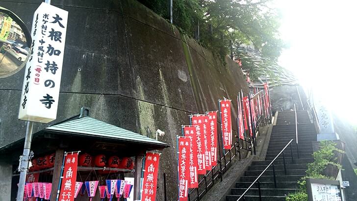 階段何段あるの？横須賀市汐入町の高台散策はまるで山登り！