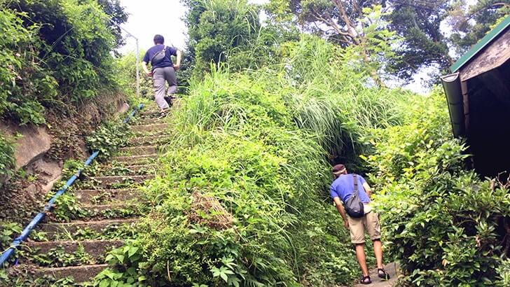 階段何段あるの？横須賀市汐入町の高台散策はまるで山登り！