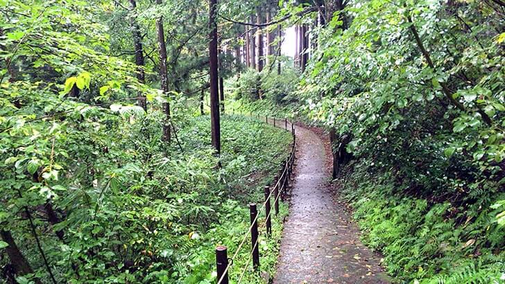 名水百選「竜ヶ窪」新潟県津南町にある伝説が息づく幻想的な池