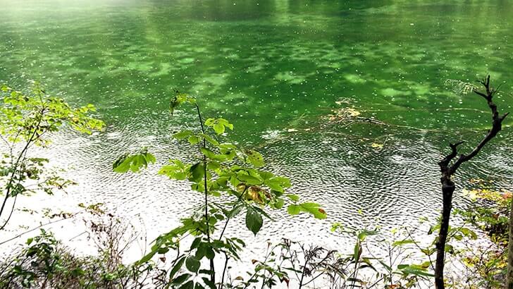 名水百選「竜ヶ窪」新潟県津南町にある伝説が息づく幻想的な池