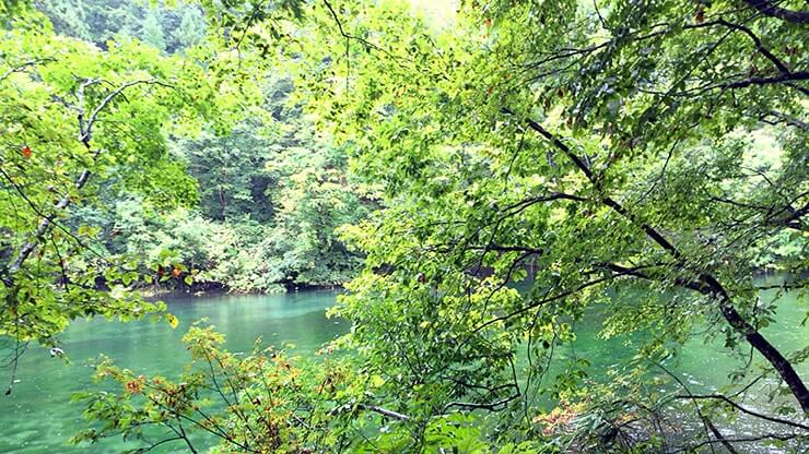 名水百選「竜ヶ窪」新潟県津南町にある伝説が息づく幻想的な池