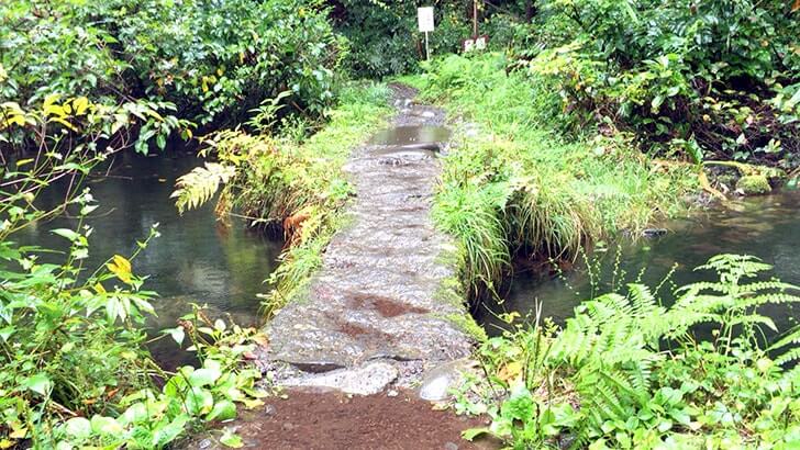 名水百選「竜ヶ窪」新潟県津南町にある伝説が息づく幻想的な池