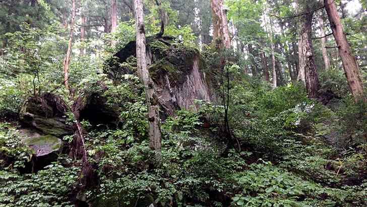 津南町「見玉不動尊」秋山郷の入口に佇む清水豊かな天台宗の寺