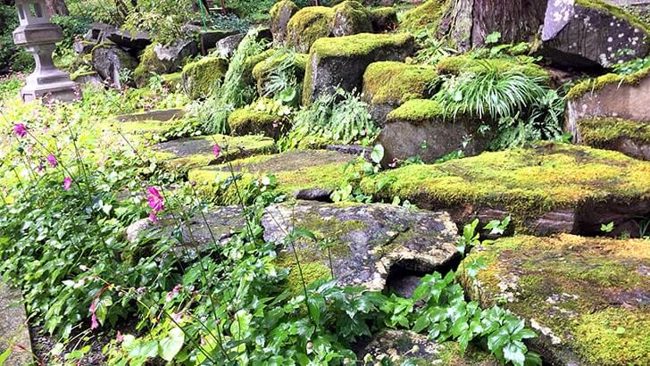 津南町「見玉不動尊」秋山郷の入口に佇む清水豊かな天台宗の寺