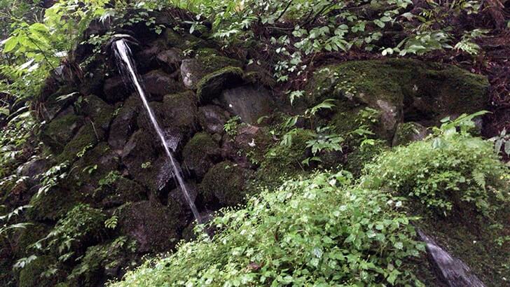 津南町「見玉不動尊」秋山郷の入口に佇む清水豊かな天台宗の寺