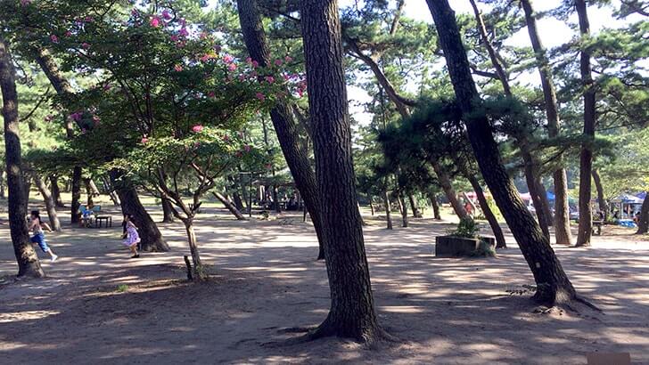 富津公園キャンプ場でバーベキュー!海まで歩いてすぐの好立地 富津公園キャンプ場でバーベキュー!海まで歩いてすぐの好立地