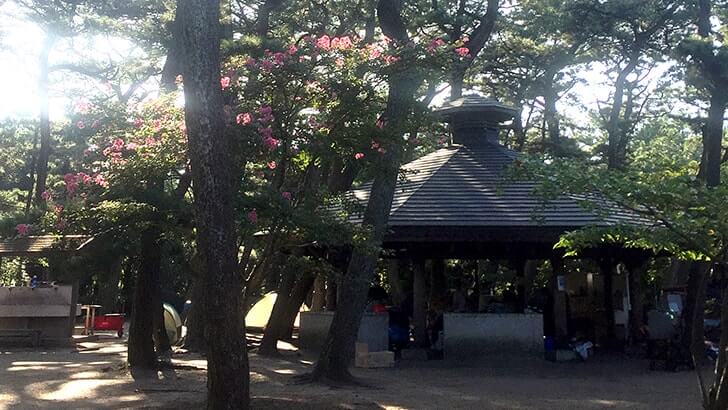 富津公園キャンプ場でバーベキュー!海まで歩いてすぐの好立地 富津公園キャンプ場でバーベキュー!海まで歩いてすぐの好立地