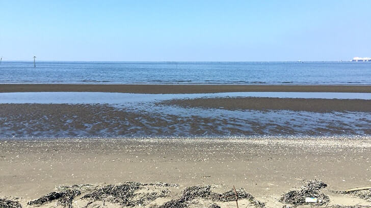 富津公園キャンプ場でバーベキュー!海まで歩いてすぐの好立地 富津公園キャンプ場でバーベキュー!海まで歩いてすぐの好立地